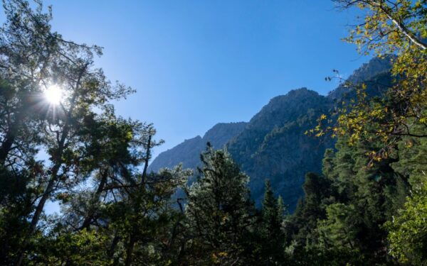 From Heraklion: Majestic Guided Hike Through Samaria Gorge - Frequently Asked Questions
