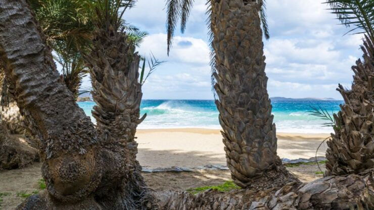 From Heraklion: Palm Forest Beach of Vai, Ierapetra & Sitia - Tour Highlights