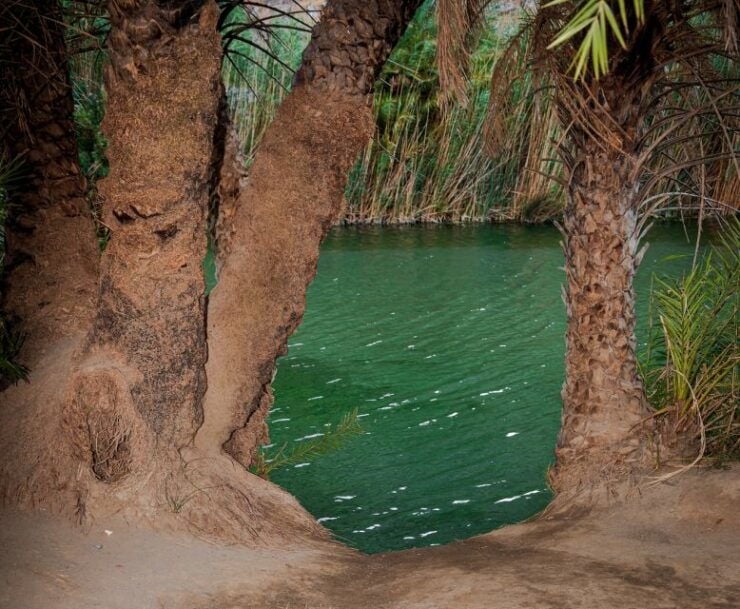 From Heraklion: Preveli Tropical Beach and Palm Forest - Activity Details