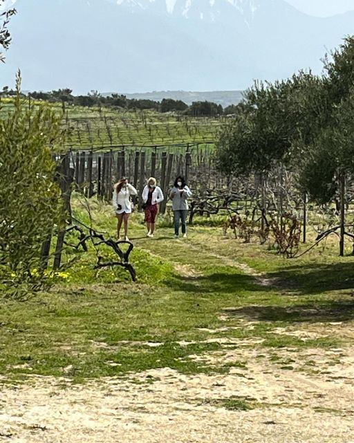 From Heraklion: Wine Tasting Experience @ Boutaris Winery - The Wine Tasting Experience