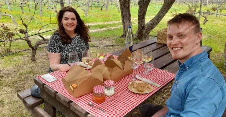 From Heraklion: Wine Tasting Experience @ Titakis Winery - Experience