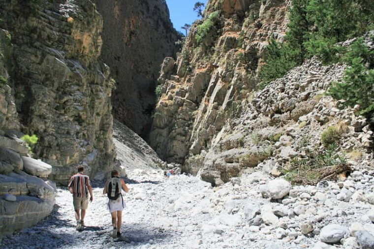 From Heraklion,Agia Pelagia,Malia: Samaria Gorge Guided Trip - Who Should Consider This Tour?
