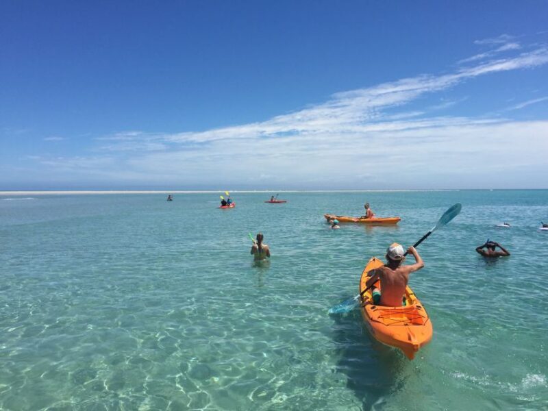 From Hervey Bay: Half-Day K'gari Fraser Island Beach Cruise - Pricing and Value