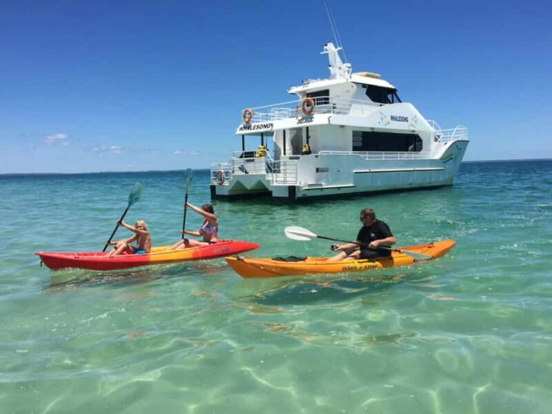 From Hervey Bay: Half-Day K'gari Fraser Island Beach Cruise - Why We Think This Tour Works