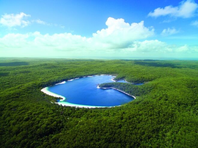From Hervey Bay: K'gari, Fraser Island Full-Day Coach Tour - Comfortable Transportation