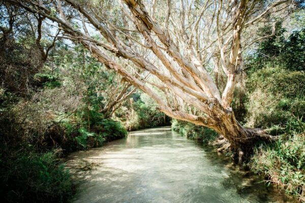 From Hervey Bay: K'gari, Fraser Island Full-Day Coach Tour - Customize Your Experience