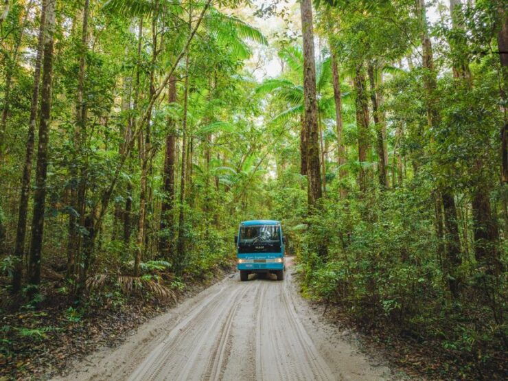 From Hervey Bay: K'gari, Fraser Island Two-Day Coach Tour - Accommodation Options and Pricing