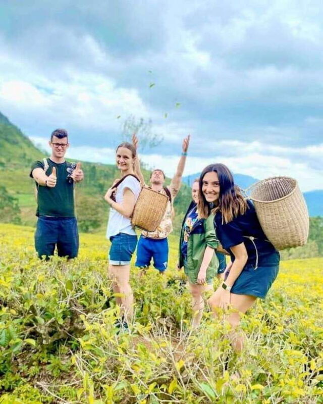 From Hikkaduwa/Galle/Mirissa : Waterfall & Tea Factory Tour - From Hikkaduwa/Galle/Mirissa: Waterfall & Tea Factory Tour — A Deep Dive into Sri Lanka’s Natural and Cultural Gems