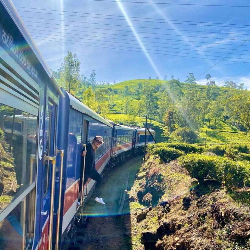 From Hikkaduwa/Galle/Mirissa : Waterfall & Tea Factory Tour - What Could Be Improved?