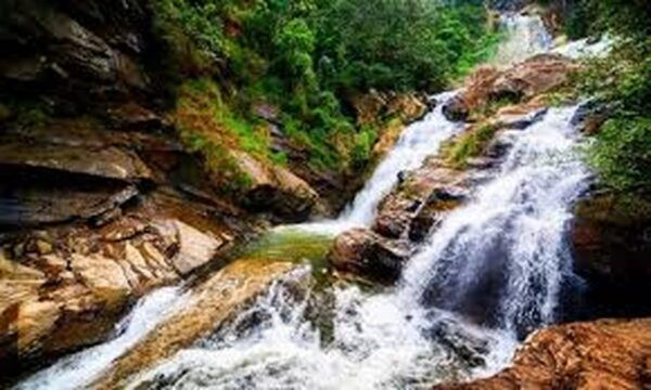 From - Hikkaduwa /Telwatta / Peraliya Day Trip To Ella - Important Recommendations