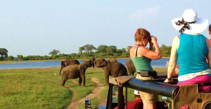 From Hikkaduwa: Udawalawe National Park Safari Tour - Safari Experience Highlights