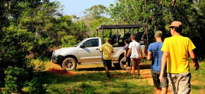 From Hikkaduwa: Udawalawe National Park Safari Tour - Customer Reviews