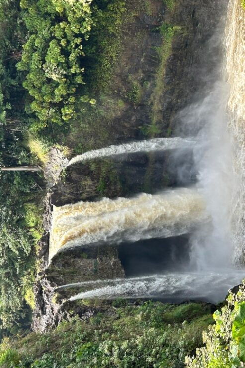 From Hilo: Hawaii Volcanoes National Park Tour - Good To Know