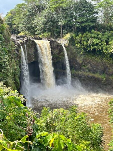 From Hilo: Hawaii Volcanoes National Park Tour - Hotel and Airport Pickup/Drop-off