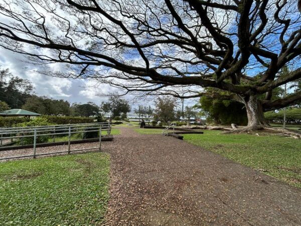 From Hilo: Hawaii Volcanoes National Park Tour - Cancellation and Refund Policy