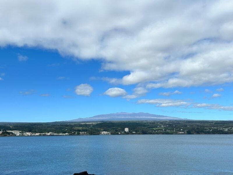 From Hilo: Hawaii Volcanoes National Park Tour - Final Thoughts: Who Will Love This Tour?