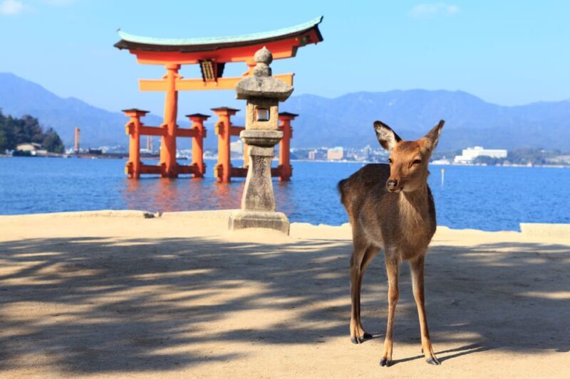 From Hiroshima: City and Miyajima Island 1-Day Bus Tour - Final Thoughts