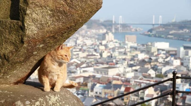 From Hiroshima/Fukuyama:1 Day Bus tour in Onomichi Tomonoura - Authenticity and Unique Aspects