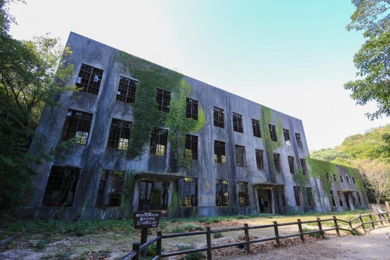 From Hiroshima: Rabbit Island and Takehara Town Tour - Good To Know