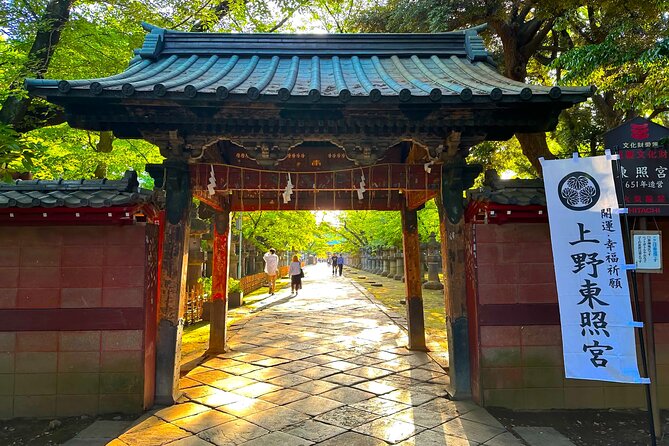 From History to Subculture: Akihabara & Ueno Must-See Tour! - Historical Gems in Akihabara