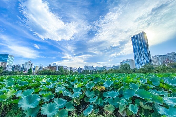 From History to Subculture: Akihabara & Ueno Must-See Tour! - Subculture Wonders in Akihabara