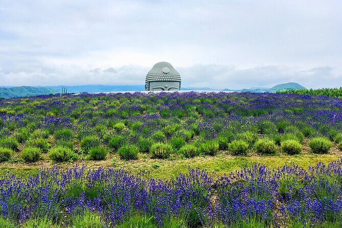 From Hitsujigaoka to Buddha Hill Sapporo Photo Spots Tour - Discovering Sapporo’s Photogenic Gems