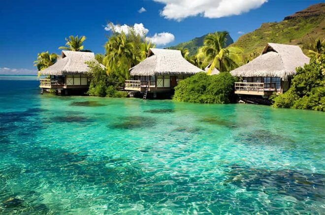 From Ho Chi Minh: 2N1D Discover the Beauty of Mui Ne Beach - Cancellation and Payment