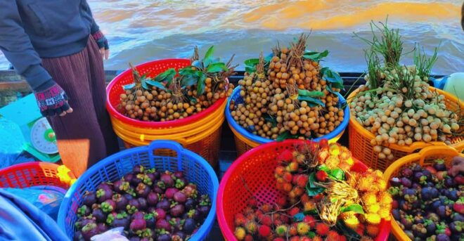From Ho Chi Minh: Cai Rang and Mekong Delta 2-Days Tour - Day 1 Activities