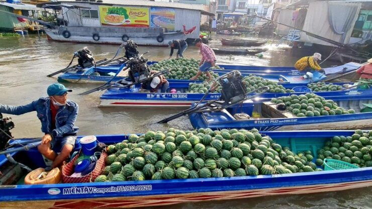 From Ho Chi Minh: Cai Rang Famous Floating Market in Can Tho - Activities