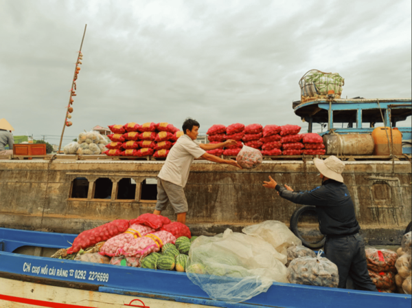 From Ho Chi Minh: Cai Rang Floating Market & Cooking Class - Cultural Insights