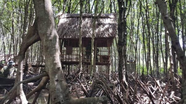 From Ho Chi Minh: Can Gio Mangrove Forest - Additional Notes and Tips