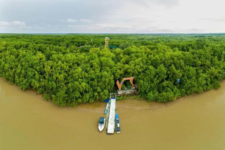 From Ho Chi Minh: Can Gio Mangrove Forest - Monkey Island - Good To Know