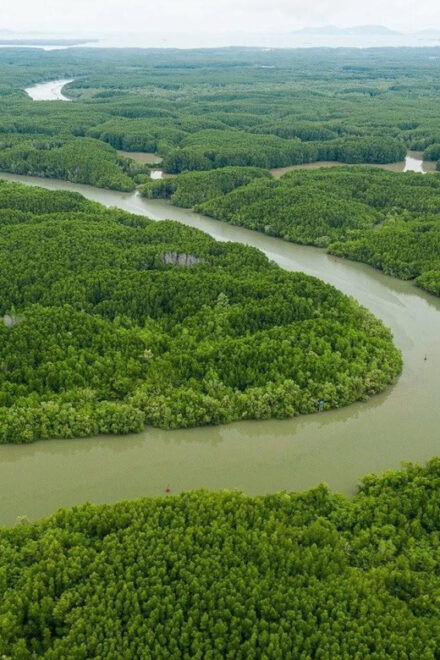 From Ho Chi Minh: Can Gio Mangrove Forest - Monkey Island - Inclusions and Exclusions