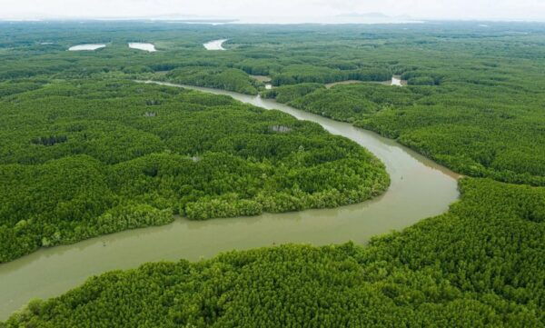 From Ho Chi Minh: Can Gio Mangrove Forest - Monkey Island - Frequently Asked Questions