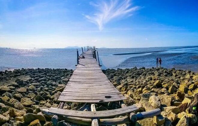 From Ho Chi Minh: Can Gio Mangrove Forest Private Day Tour - Transportation Details