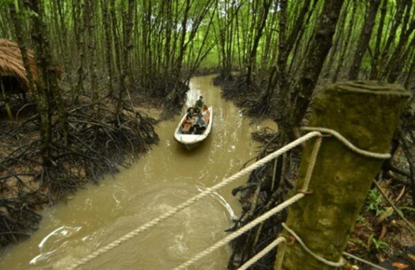 From Ho Chi Minh: Can Gio Mangrove Forest Private Day Tour - Frequently Asked Questions