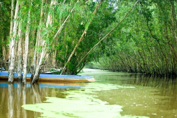 From Ho Chi Minh City: 3-Day Mekong Delta Tour to Phnom Penh - Inclusions and Exclusions