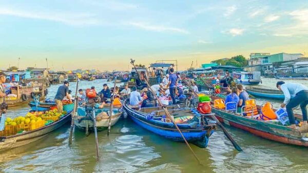 From Ho Chi Minh City: Cai Rang Floating Market in Can Tho - Cultural Insights and Activities
