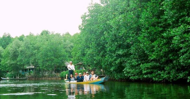From Ho Chi Minh City: Can Gio Mangrove Forest Private Tour - Transportation Details