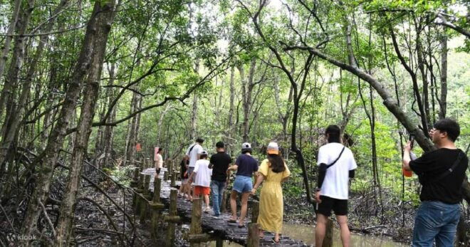 From Ho Chi Minh City: Can Gio Mangrove Forest Private Tour - What to Expect