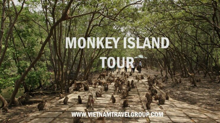 From Ho Chi Minh City: Can Gio Mangrove Guided Forest Tour - Itinerary Details