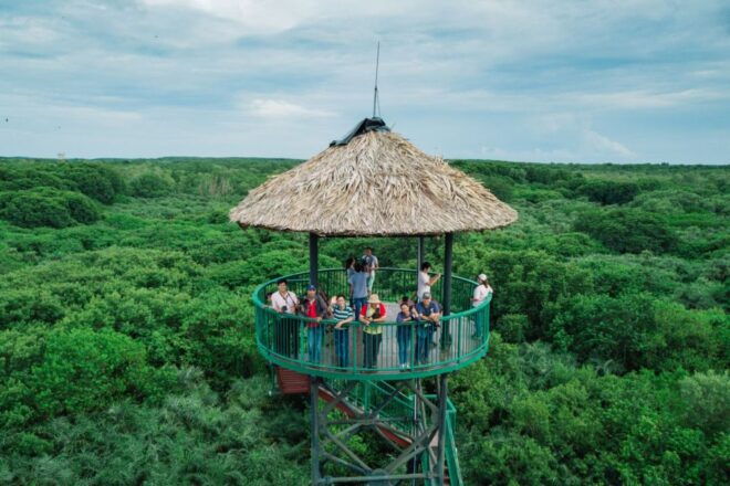 From Ho Chi Minh City: Can Gio Mangrove Guided Forest Tour - Inclusions and Exclusions