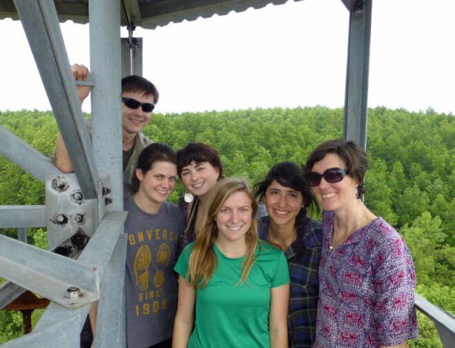 From Ho Chi Minh City: Can Gio Mangrove Guided Forest Tour - Activity Background