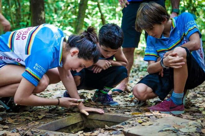 From Ho Chi Minh City: Cu Chi Tunnels and History - Itinerary Details