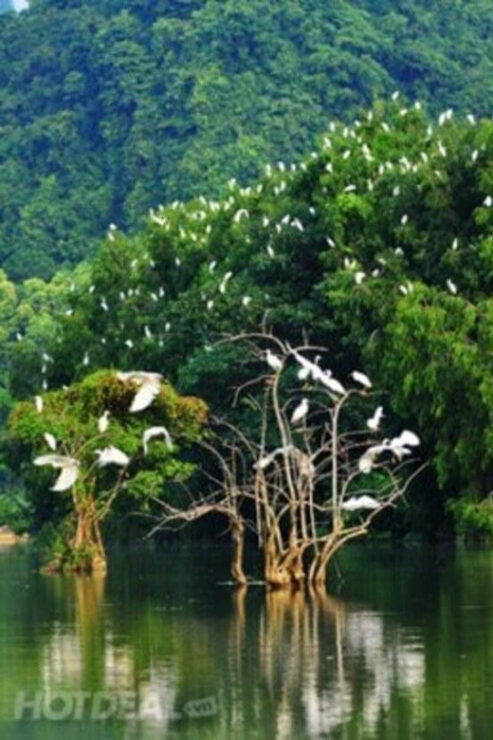 From Ho Chi Minh City: Group Can Gio 1-Day Tour Forest - Good To Know