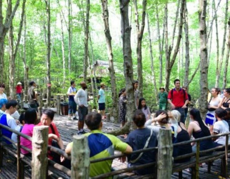 From Ho Chi Minh City: Group Tour Can Gio Mangrove Forest - Itinerary and Highlights
