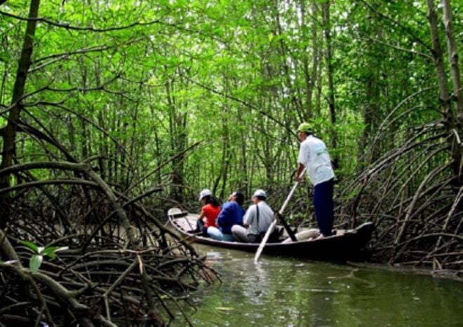 From Ho Chi Minh City: Group Tour Can Gio Mangrove Forest - Inclusions and Optional Activities