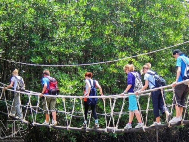 From Ho Chi Minh City: Group Tour Can Gio Mangrove Forest - Customer Feedback