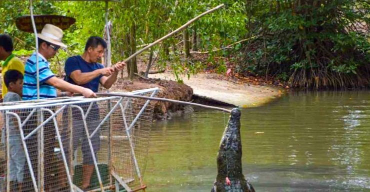 From Ho Chi Minh City: Group Tour Can Gio Mangrove Forest - Itinerary Highlights