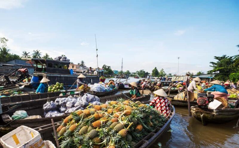 From Ho Chi Minh City: Mekong Delta & Floating Market Tour - Transportation, Accommodation & Pricing